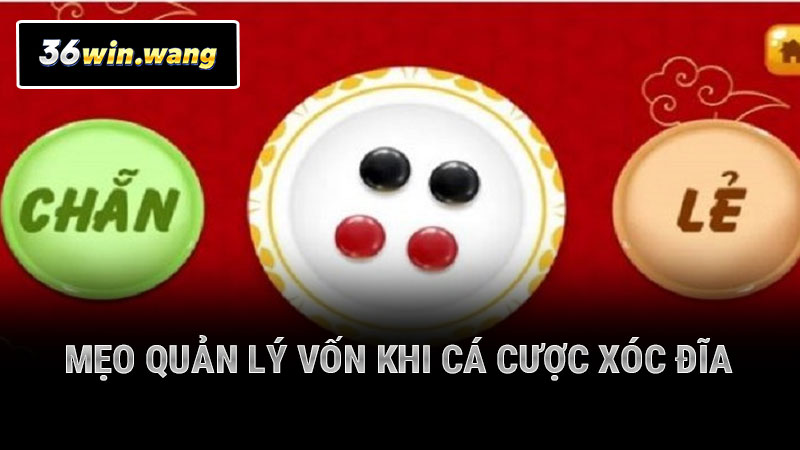 Mẹo quản lý vốn khi cá cược xóc đĩa
